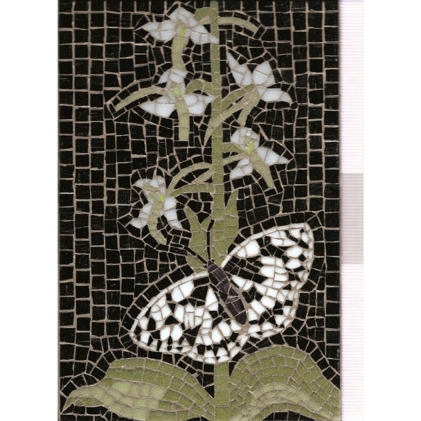 Butterfly Orchid and Marbled White Butterfly Large Greetings Card