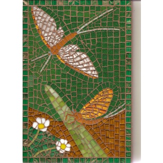 Yellow Dun Mayflies and Water-crowfoot Mosaic Picture
